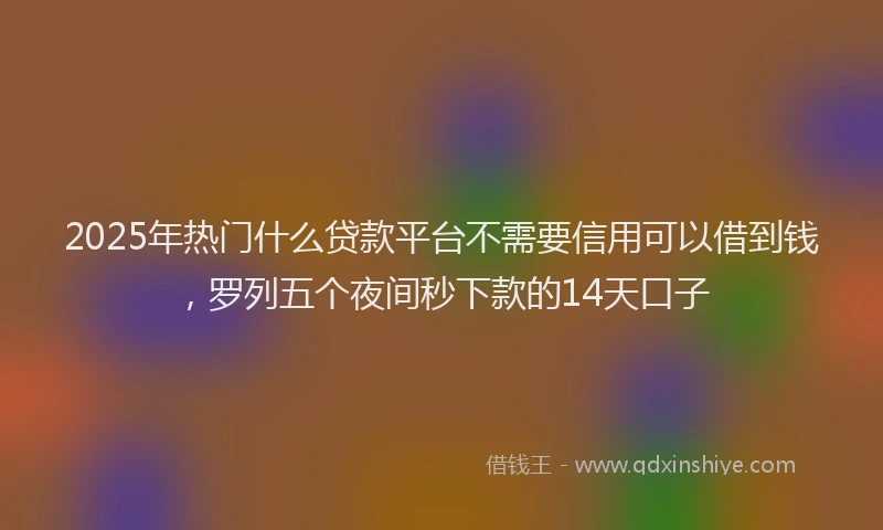 2025年热门什么贷款平台不需要信用可以借到钱，罗列五个夜间秒下款的14天口子