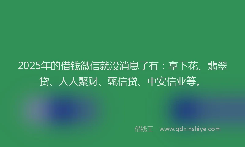 2025年的借钱微信就没消息了有：享下花、翡翠贷、人人聚财、甄信贷、中安信业等。