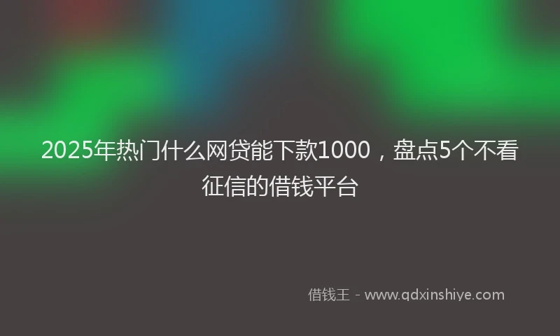 2025年热门什么网贷能下款1000，盘点5个不看征信的借钱平台