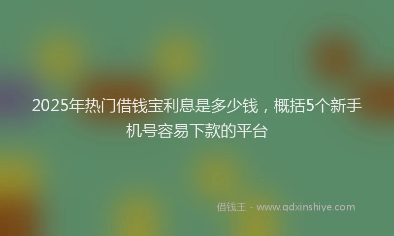 2025年热门借钱宝利息是多少钱，概括5个新手机号容易下款的平台