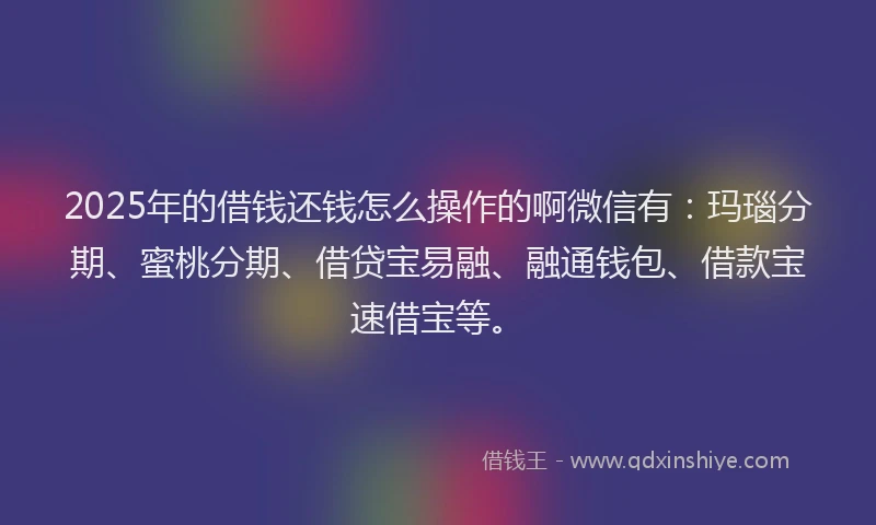 2025年的借钱还钱怎么操作的啊微信有：玛瑙分期、蜜桃分期、借贷宝易融、融通钱包、借款宝速借宝等。