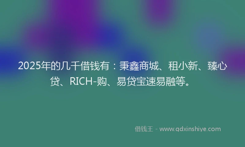 2025年的几千借钱有：秉鑫商城、租小新、臻心贷、RICH-购、易贷宝速易融等。