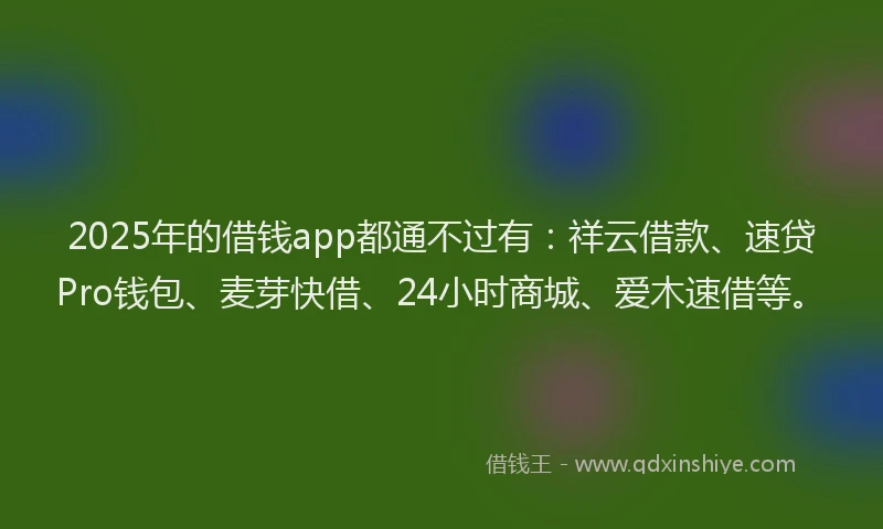 2025年的借钱app都通不过有：祥云借款、速贷Pro钱包、麦芽快借、24小时商城、爱木速借等。
