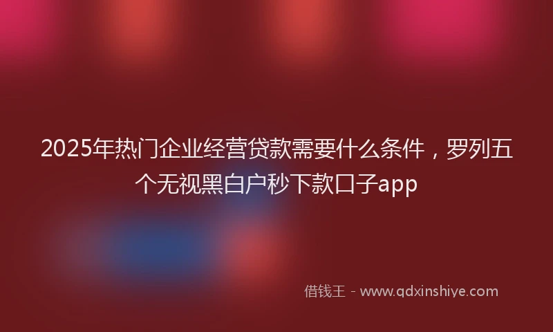 2025年热门企业经营贷款需要什么条件，罗列五个无视黑白户秒下款口子app