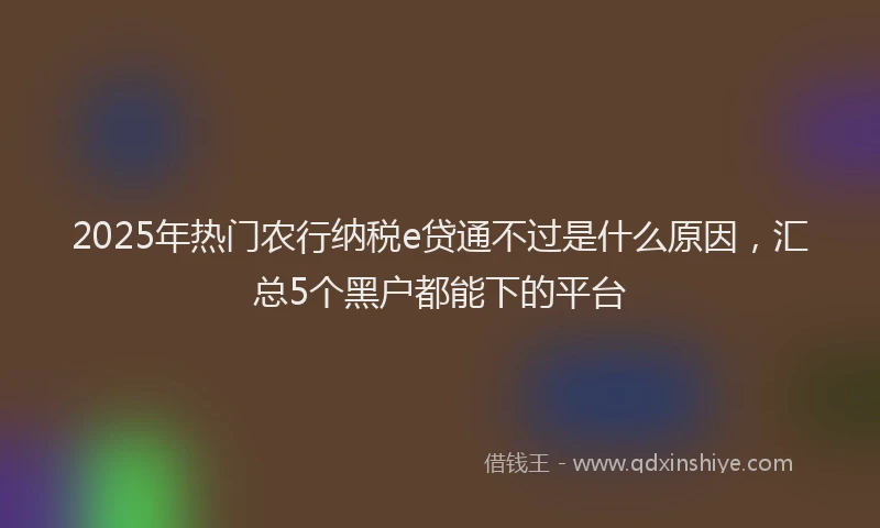 2025年热门农行纳税e贷通不过是什么原因，汇总5个黑户都能下的平台