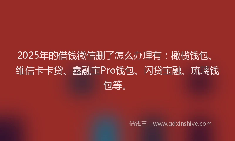 2025年的借钱微信删了怎么办理有：橄榄钱包、维信卡卡贷、鑫融宝Pro钱包、闪贷宝融、琉璃钱包等。