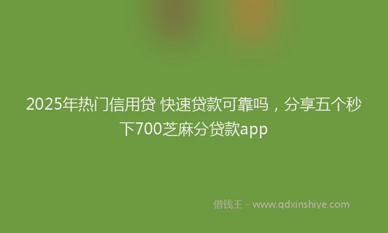 2025年热门信用贷 快速贷款可靠吗，分享五个秒下700芝麻分贷款app