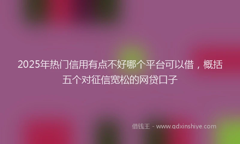 2025年热门信用有点不好哪个平台可以借，概括五个对征信宽松的网贷口子