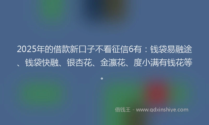2025年的借款新口子不看征信6有：钱袋易融途、钱袋快融、银杏花、金瀛花、度小满有钱花等。