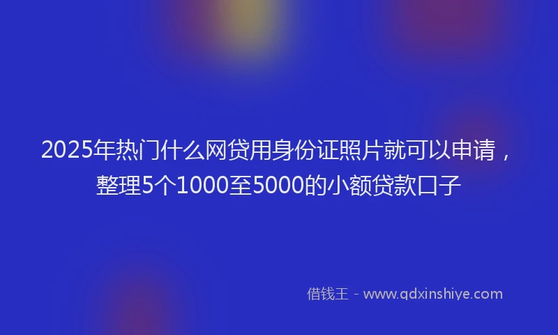 2025年热门什么网贷用身份证照片就可以申请，整理5个1000至5000的小额贷款口子