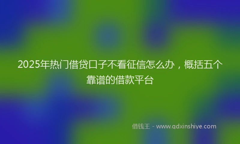 2025年热门借贷口子不看征信怎么办，概括五个靠谱的借款平台
