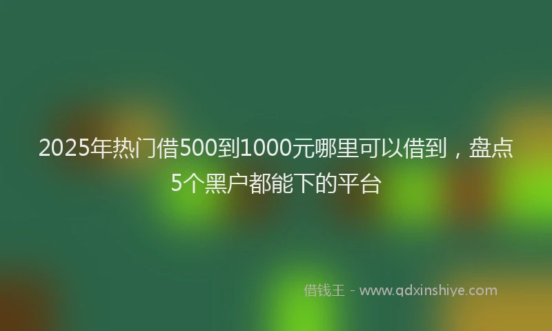 2025年热门借500到1000元哪里可以借到，盘点5个黑户都能下的平台