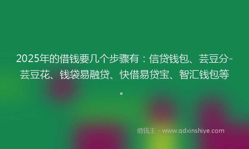 2025年的借钱要几个步骤有：信贷钱包、芸豆分-芸豆花、钱袋易融贷、快借易贷宝、智汇钱包等。