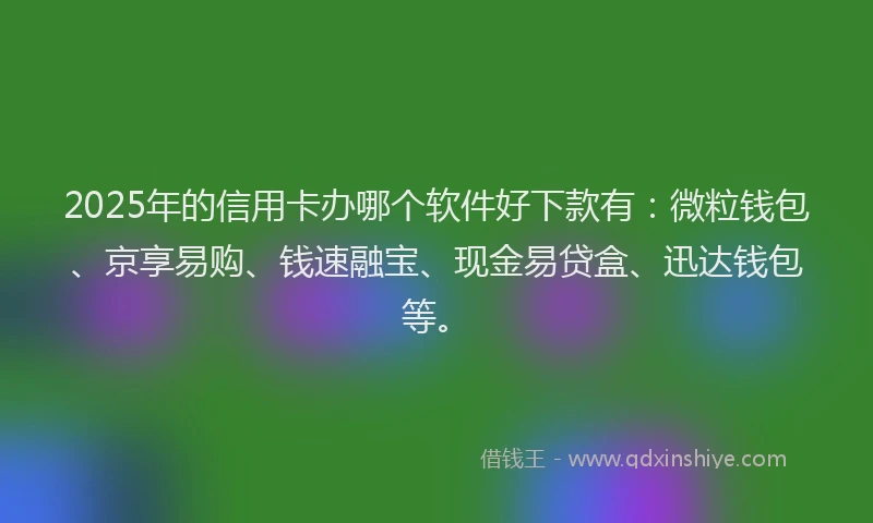 2025年的信用卡办哪个软件好下款有：微粒钱包、京享易购、钱速融宝、现金易贷盒、迅达钱包等。