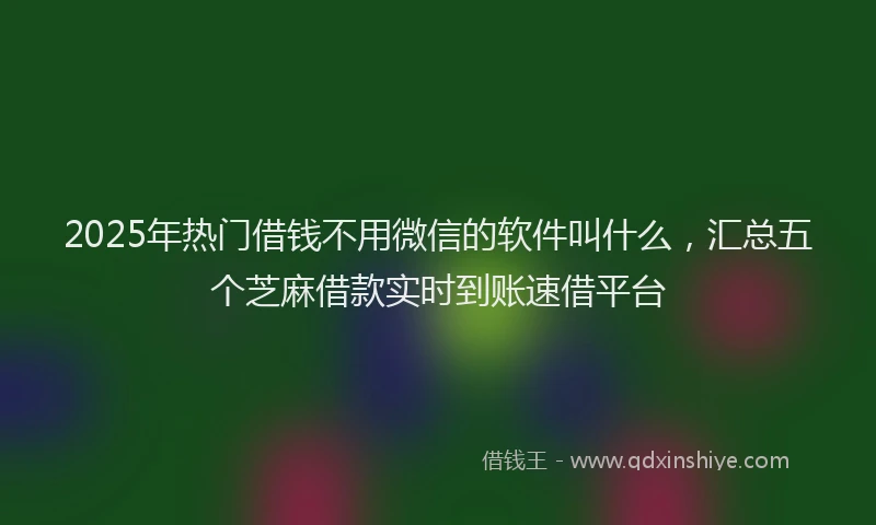 2025年热门借钱不用微信的软件叫什么，汇总五个芝麻借款实时到账速借平台