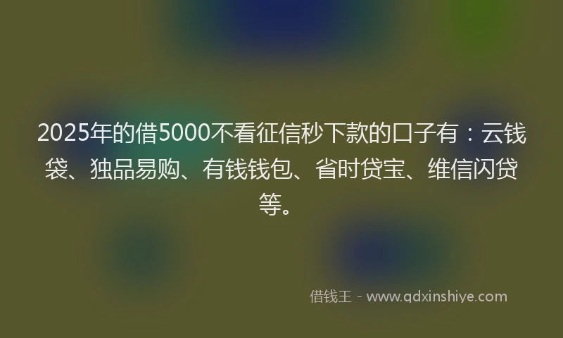 2025年的借5000不看征信秒下款的口子有：云钱袋、独品易购、有钱钱包、省时贷宝、维信闪贷等。