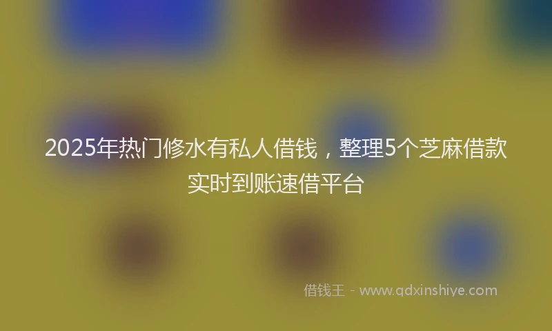 2025年热门修水有私人借钱，整理5个芝麻借款实时到账速借平台