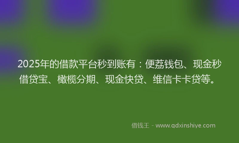 2025年的借款平台秒到账有：便荔钱包、现金秒借贷宝、橄榄分期、现金快贷、维信卡卡贷等。