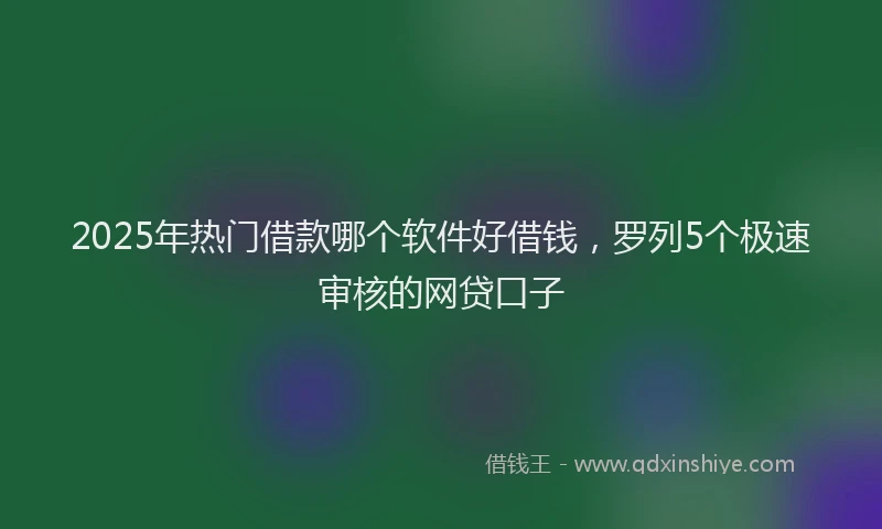 2025年热门借款哪个软件好借钱，罗列5个极速审核的网贷口子