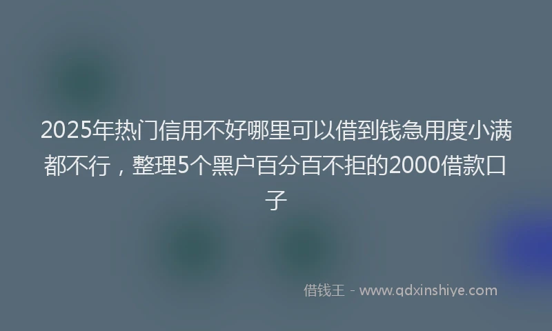 2025年热门信用不好哪里可以借到钱急用度小满都不行，整理5个黑户百分百不拒的2000借款口子