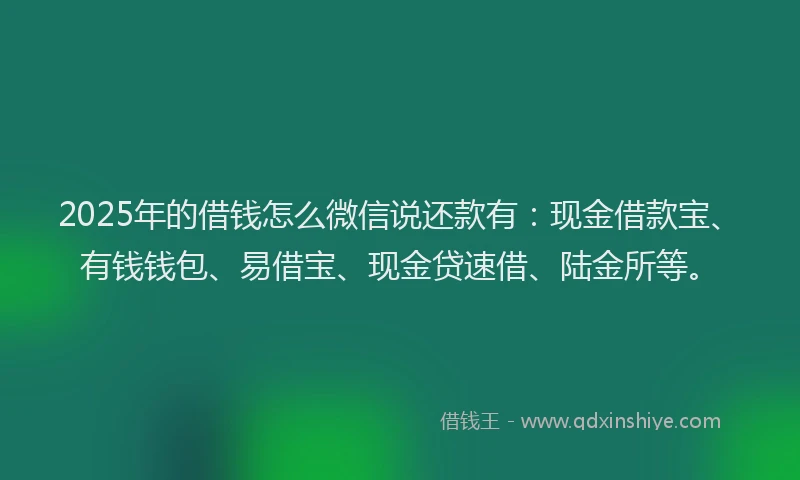 2025年的借钱怎么微信说还款有：现金借款宝、有钱钱包、易借宝、现金贷速借、陆金所等。