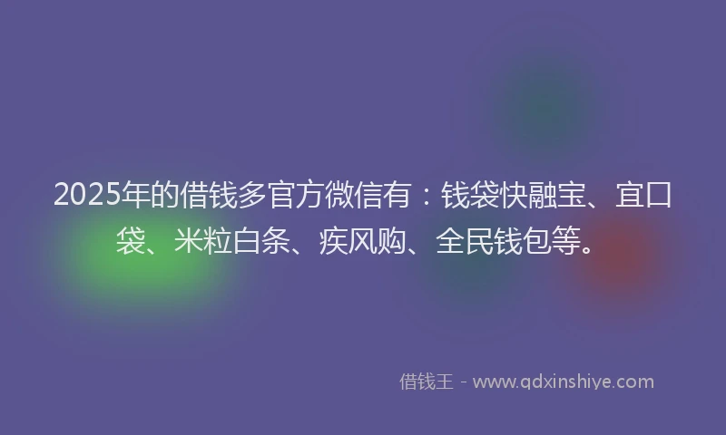 2025年的借钱多官方微信有：钱袋快融宝、宜口袋、米粒白条、疾风购、全民钱包等。