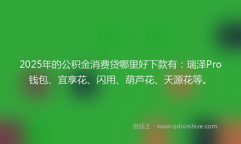 2025年的公积金消费贷哪里好下款有：瑞泽Pro钱包、宜享花、闪用、葫芦花、天源花等。