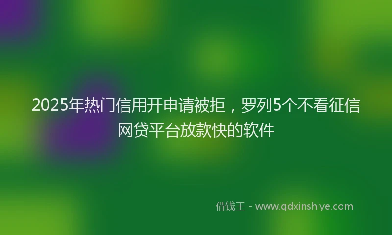 2025年热门信用开申请被拒，罗列5个不看征信网贷平台放款快的软件