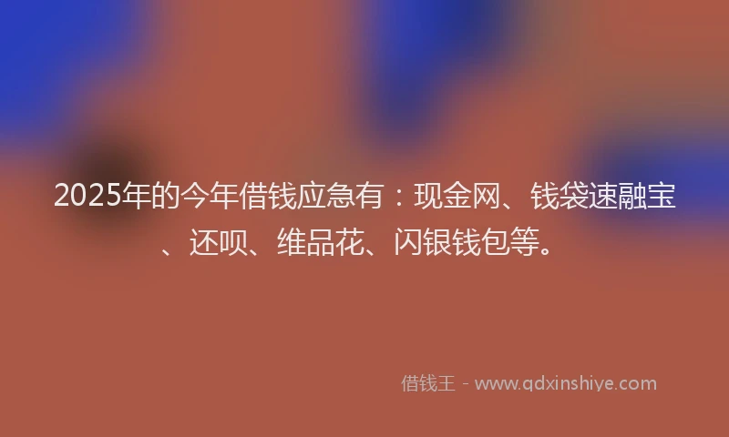 2025年的今年借钱应急有：现金网、钱袋速融宝、还呗、维品花、闪银钱包等。