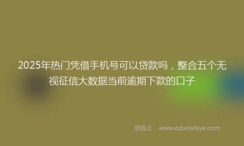 2025年热门凭借手机号可以贷款吗，整合五个无视征信大数据当前逾期下款的口子