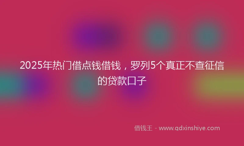 2025年热门借点钱借钱，罗列5个真正不查征信的贷款口子