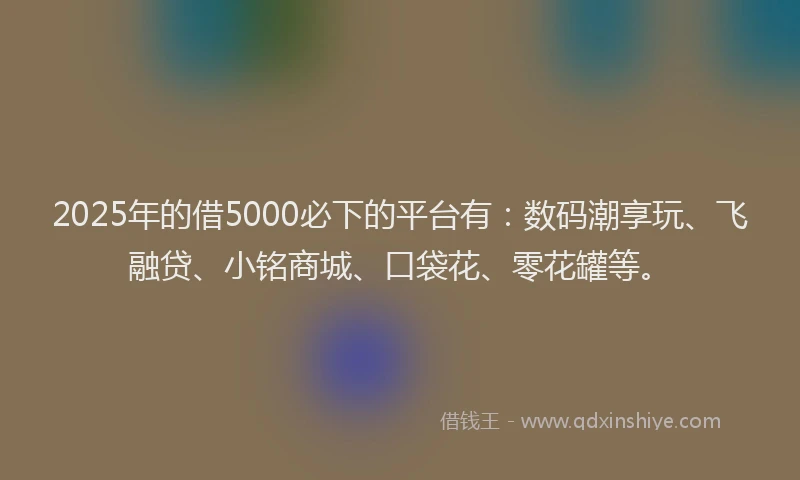 2025年的借5000必下的平台有：数码潮享玩、飞融贷、小铭商城、口袋花、零花罐等。