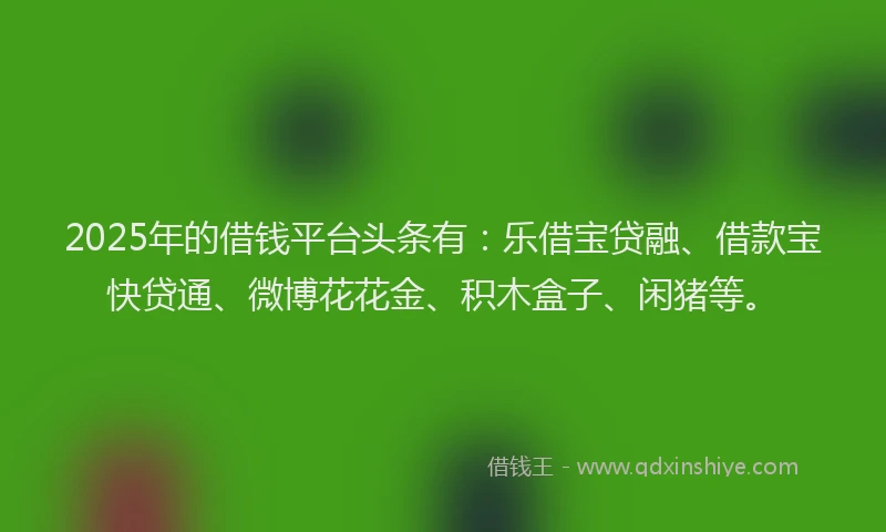 2025年的借钱平台头条有：乐借宝贷融、借款宝快贷通、微博花花金、积木盒子、闲猪等。