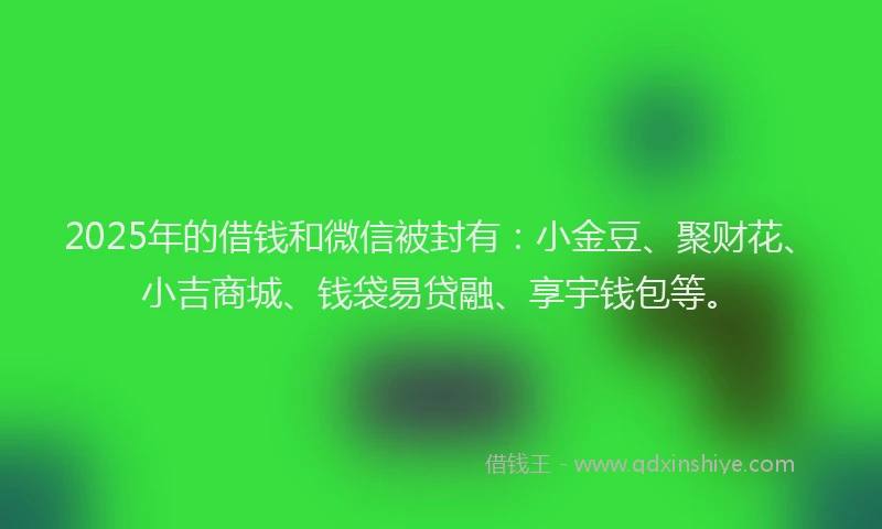 2025年的借钱和微信被封有：小金豆、聚财花、小吉商城、钱袋易贷融、享宇钱包等。