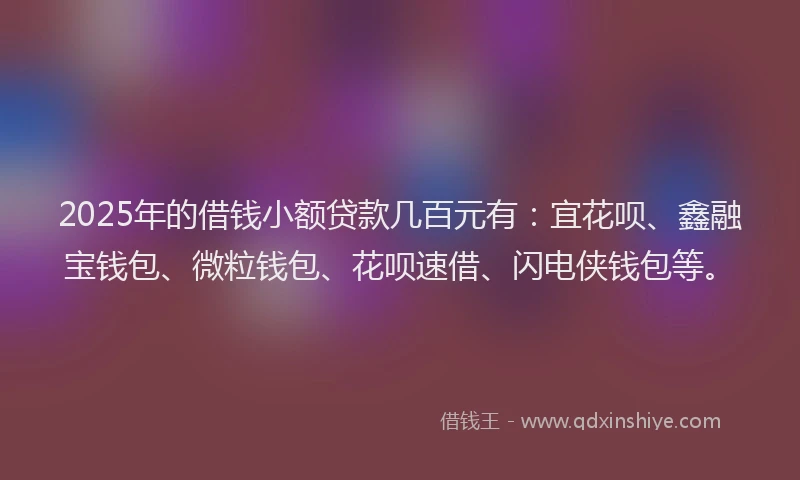 2025年的借钱小额贷款几百元有：宜花呗、鑫融宝钱包、微粒钱包、花呗速借、闪电侠钱包等。