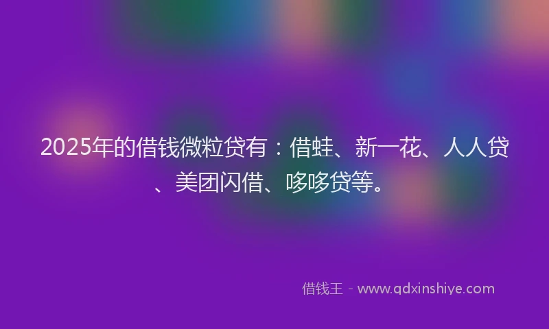 2025年的借钱微粒贷有：借蛙、新一花、人人贷、美团闪借、哆哆贷等。