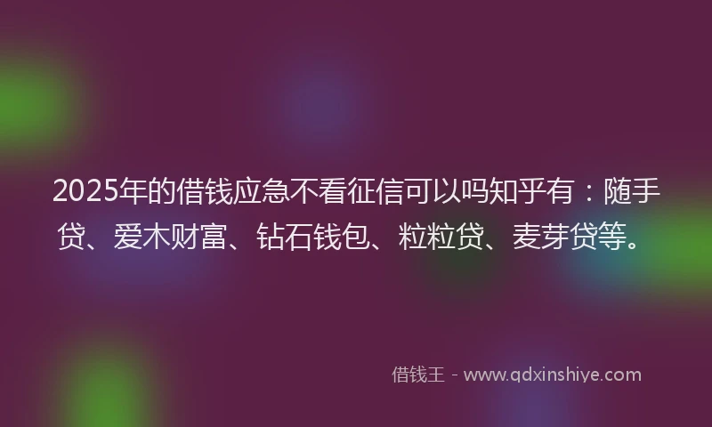 2025年的借钱应急不看征信可以吗知乎有：随手贷、爱木财富、钻石钱包、粒粒贷、麦芽贷等。
