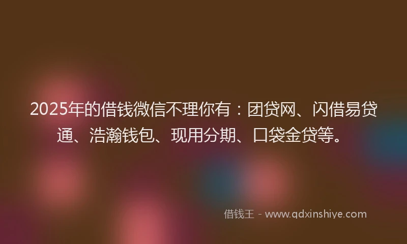 2025年的借钱微信不理你有：团贷网、闪借易贷通、浩瀚钱包、现用分期、口袋金贷等。