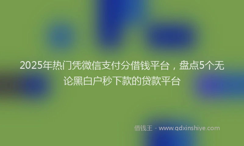 2025年热门凭微信支付分借钱平台，盘点5个无论黑白户秒下款的贷款平台