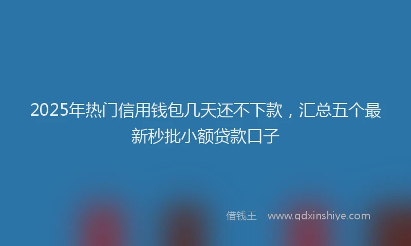 2025年热门信用钱包几天还不下款，汇总五个最新秒批小额贷款口子