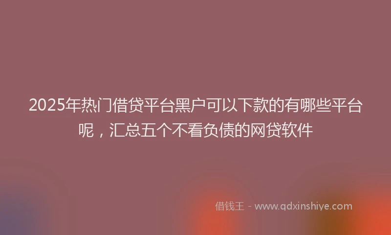 2025年热门借贷平台黑户可以下款的有哪些平台呢，汇总五个不看负债的网贷软件