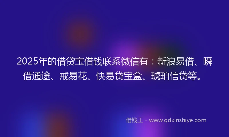2025年的借贷宝借钱联系微信有：新浪易借、瞬借通途、戒易花、快易贷宝盒、琥珀信贷等。