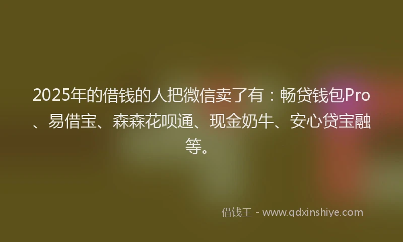 2025年的借钱的人把微信卖了有：畅贷钱包Pro、易借宝、森森花呗通、现金奶牛、安心贷宝融等。