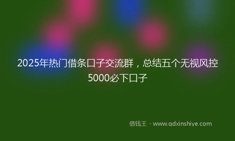2025年热门借条口子交流群，总结五个无视风控5000必下口子