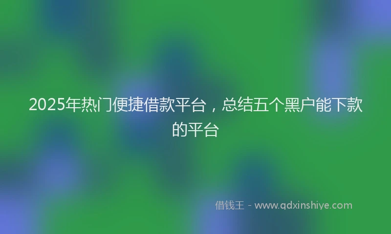2025年热门便捷借款平台，总结五个黑户能下款的平台