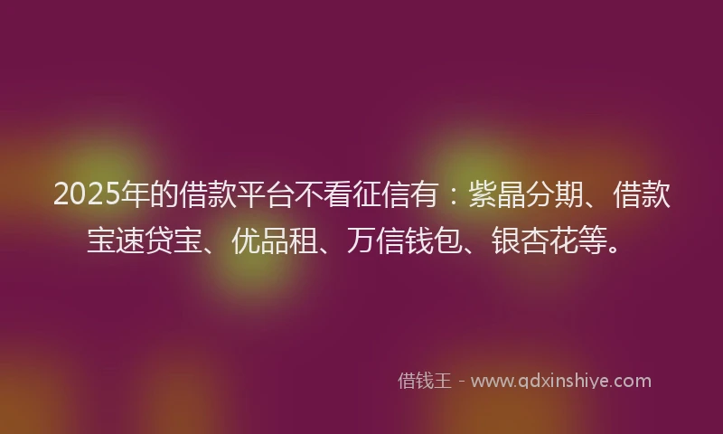 2025年的借款平台不看征信有：紫晶分期、借款宝速贷宝、优品租、万信钱包、银杏花等。