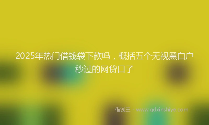 2025年热门借钱袋下款吗，概括五个无视黑白户秒过的网贷口子