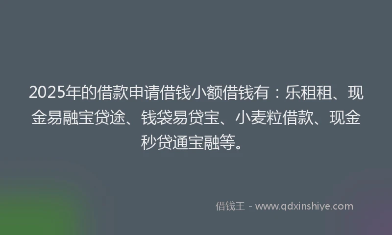 2025年的借款申请借钱小额借钱有：乐租租、现金易融宝贷途、钱袋易贷宝、小麦粒借款、现金秒贷通宝融等。