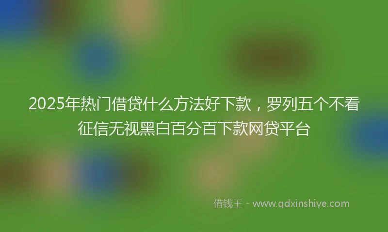 2025年热门借贷什么方法好下款，罗列五个不看征信无视黑白百分百下款网贷平台
