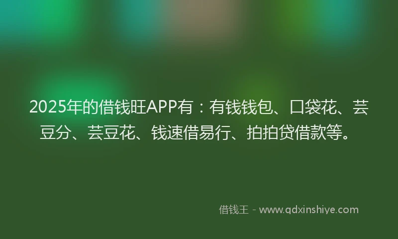 2025年的借钱旺APP有：有钱钱包、口袋花、芸豆分、芸豆花、钱速借易行、拍拍贷借款等。